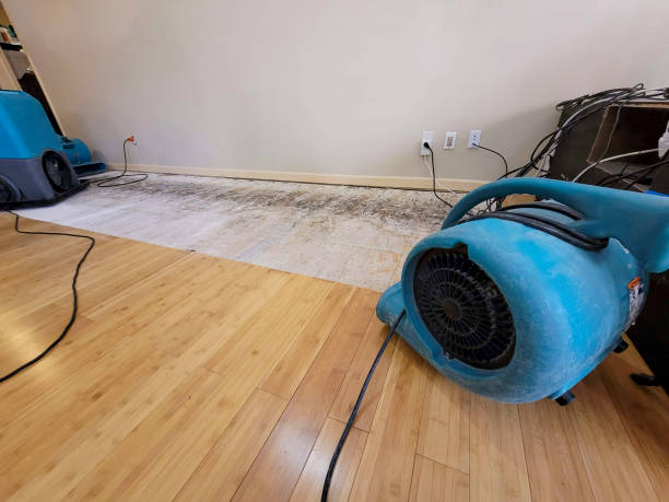 Professional Structural Drying technician working in Greentown, OH